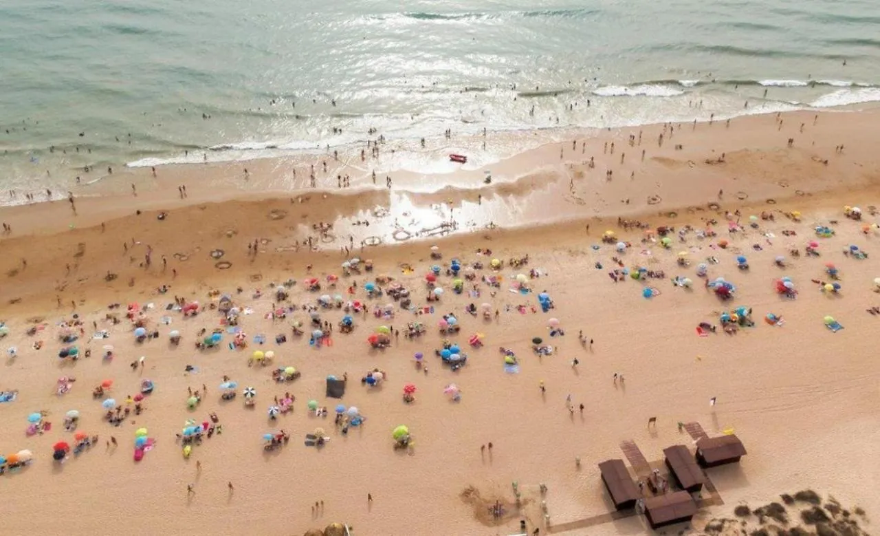 Apartamento En La Barrosa Chiclana de la Frontera